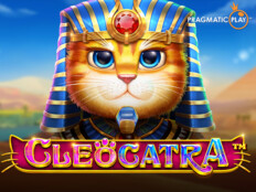 Casino slots free spins. Giant casino.60